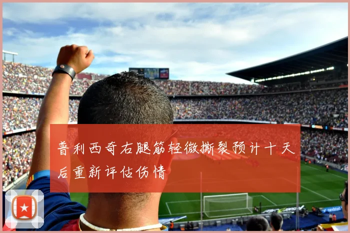 普利西奇右腿筋轻微撕裂预计十天后重新评估伤情